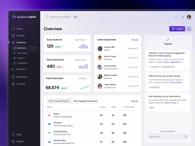 AudiencePlus - Dashboard ai widget analytics audience management audience overview audienceplus b2b marketing bb agency cards clean copilot dashboard minimal platform product design saas sidebar ui ux web app