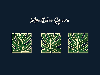 vector monstera square design flat illustration vector