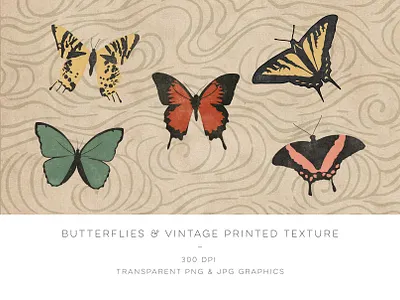 Japanese Butterflies art licensing asian graphics butterfly butterfly illustration design tools flat design flowers graphic resources illustration japanese culture japanese design jpg png vectors