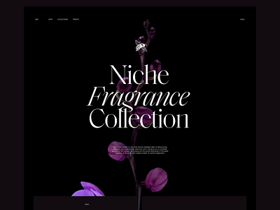 Perfume Ecommerce Website Design animation design design studio ecommerce graphic design interaction interface perfume ui user experience user interface ux video web web design website website design