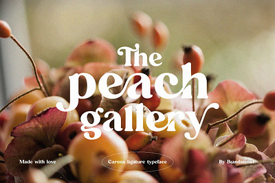 Carena - Ligature Serif Font calligraphy design display elegant font font resources fonts handwriting handwritten lettering ligature logo modern fonts sans serif sans serif font sans serif fonts serif serif font serif font family serif fonts