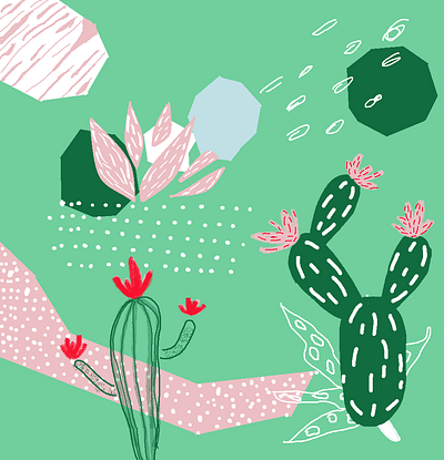 cactus cactus cactus illustration design drawing drawing cactus illustration paint