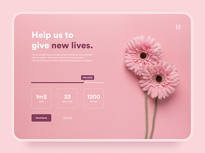 Daily UI #032 | Crowdfunding campaign crowdfunding crowdfunding campaign daily ui 32 dailyui dailyui 032 dailyuichallenge desktop flat flowers pink ui webdesign website design