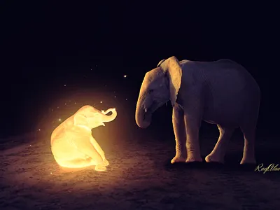 "Soul Mate" ❤ artwork design photo editing photo manip photo manipulation photoshop photoshop art