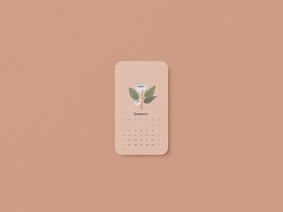 January 2021 Calendar 2021 applepencil applepencilillustration calendar design digitalart floral floral illustration flowers illustration illustration digital january pastel procreate