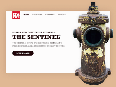 Sentinel Fire Hydrant figma fire hydrant hydrant landing landingpage sentinel us pipe