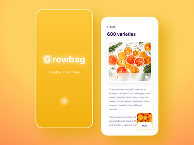 Growbag - Fruits & Grocery App 3d ecommerce app food app fruits fruits and vegetables online glass glassy grocery grocery app grocery list grocery online grocery store minimal modern online fruit orange splashscreen