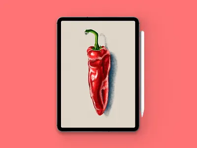 Realistic Chili 🌶️ Procreate illustration in procreate art digitalart illustration ipadpro ipadproart procreate realistic