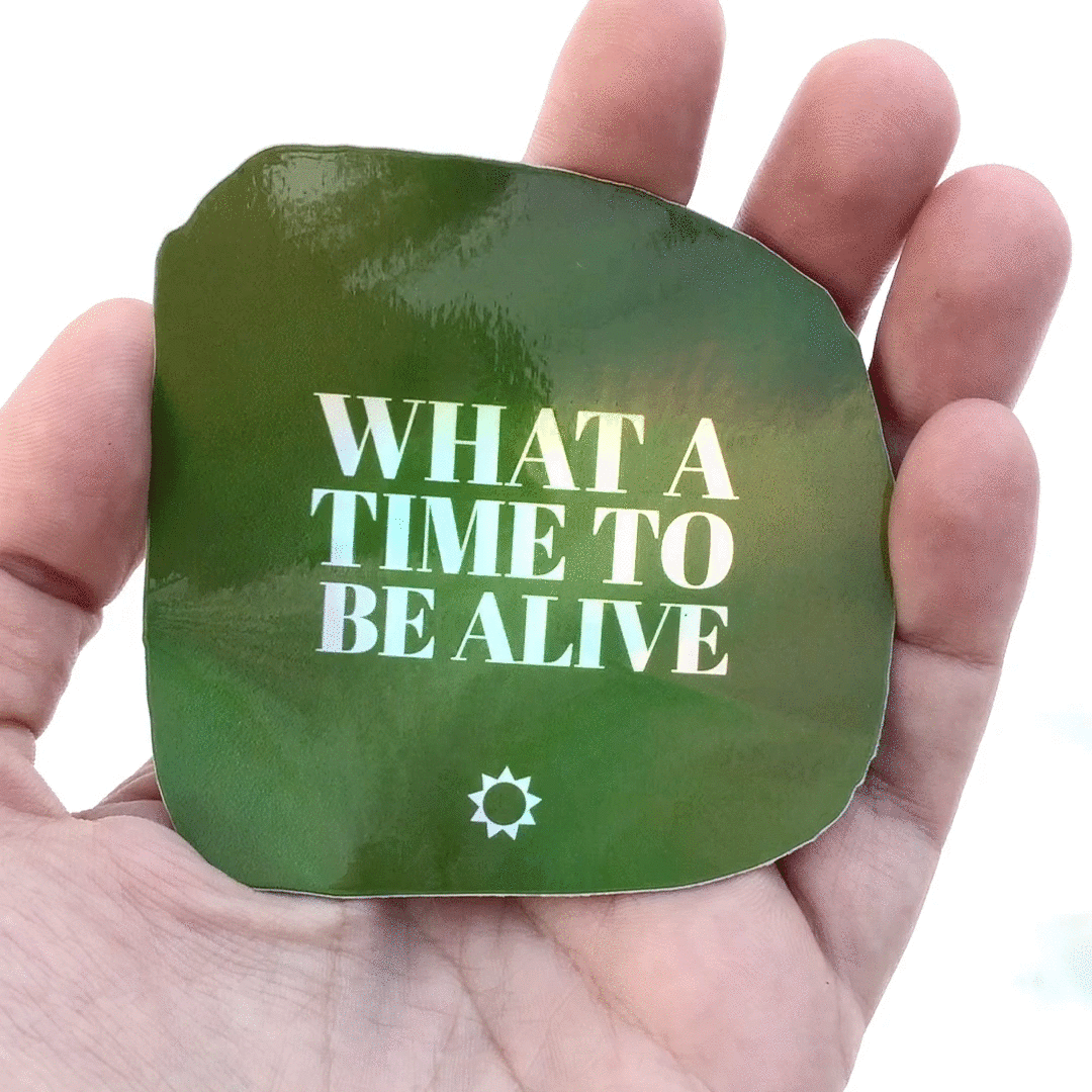 What a Time to be Alive green holographic holographic foil optimism positivity serif simple sticker sticker design sticker mule stickermule sun sunny what a time to be alive