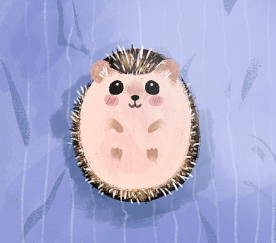 Hedgehog animal cute hedgehog illustration nature
