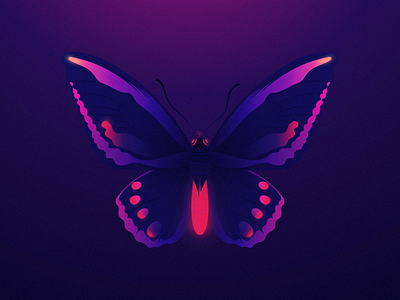 Neon beauty adobe adobeillustrator animals art beautiful beauty bug flyingbug illustration landscape moonlight nature nature illustration neonlights purple purpleshade sunrise wildanimals