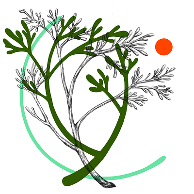 Seaweed Green botanical design green illustration seaweed