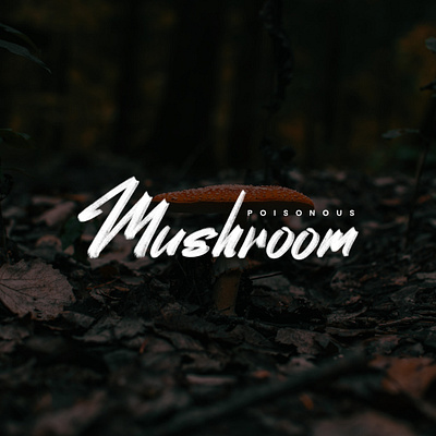 Random Lettering. Poisonous Mushroom adobe ilustrator branding clean coreldraw design elegant logo logo inspirations simple typography vector