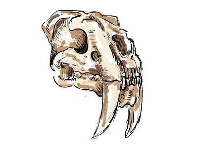 Smilodon populator art creature design digital painting nature illustration scientific illustration