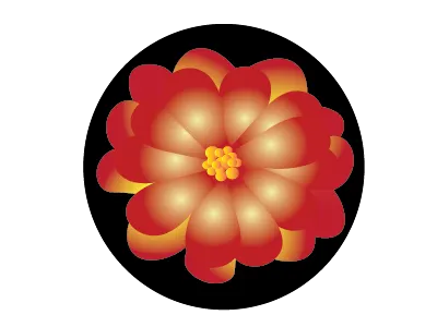 flower design flower illustration