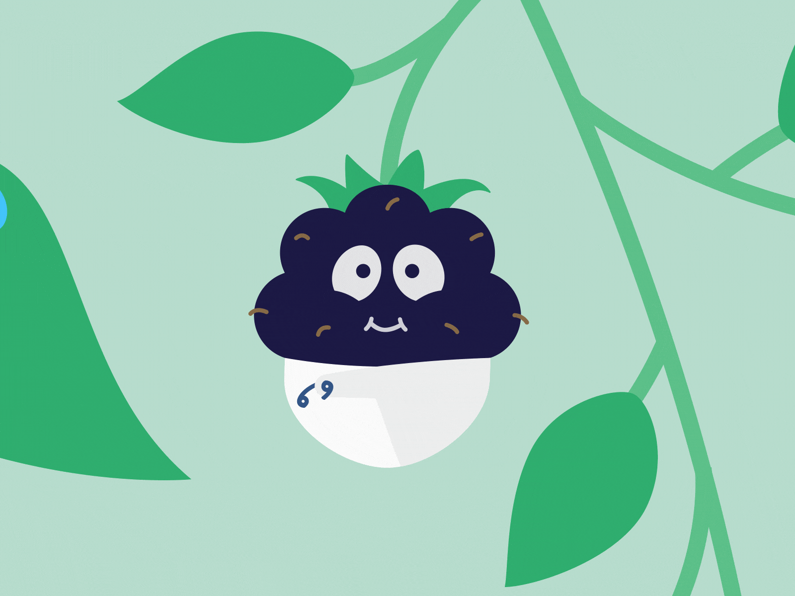 Little boy after effects blackberry boy child flat kid loop sweet