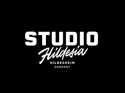 Studio Hildesia brush calligraphy hand writing identity lettering logo logotype script script lettering typography леттеринг