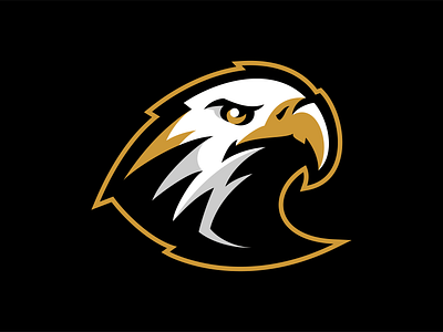 Boise Golden Eagles Men's Gymnastics bird boise brand branding design eagle eagles feather gymnastics logo mascot matthew doyle prey sport logo sports team university vector