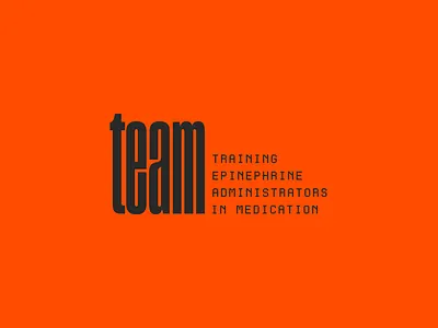 TEAM logo design branding clean design flat icon identity illustrator logo typography vector