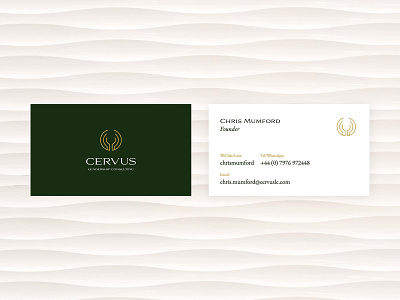 Cervus Branded Assets brand design branding branding and identity business cards deck logo presentation stationary visual identity website