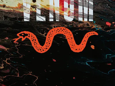 "Venom" - Snake Illo - Round 2 animal apparel art direction branding design drawing graphic design gritty hand drawn illustration serpent snake snake logo texture brushes typography venom