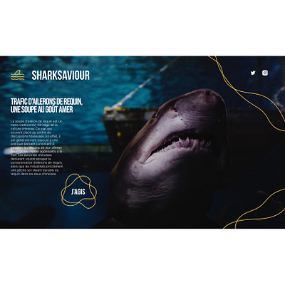 Sharksaviour design ui uiux web webdesig website