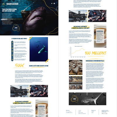 Sharksaviour design ui uiux web webdesig website