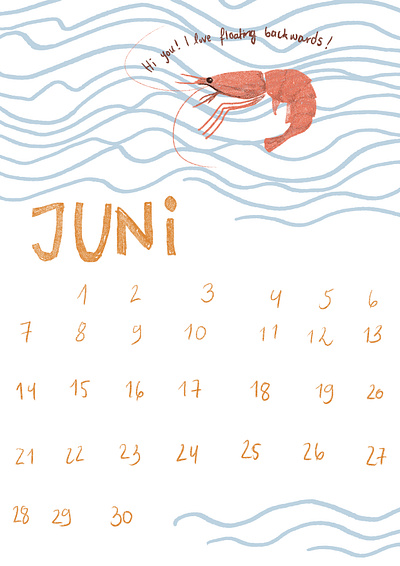 June art calendar design digitalart illustration june matildamaya minimal painting portrait shrimp shrimps