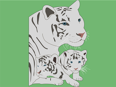 White Tiger animation art branding design flat graphic design illustration illustrator vector