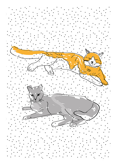 Gatos cat design illustration vector
