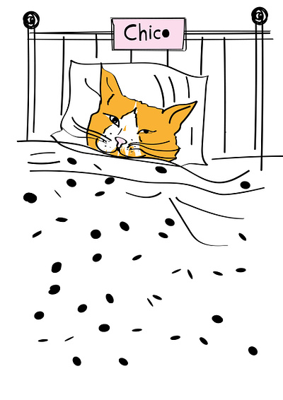 Gato dorminhoco cat design illustration vector