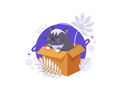 Cat in the box art box cat character concept creative design flat illustration minimal vector