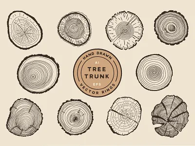 Tree Growth Rings art cross section design flat hand drawn illustration illustrator nature retro tree tree rings trees trunk vector vintage