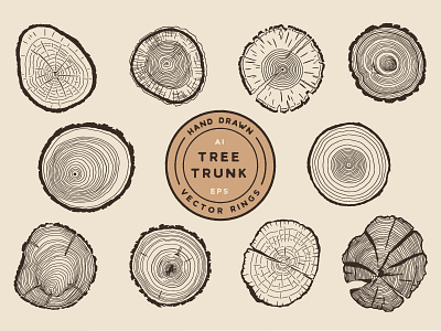 Tree Growth Rings art cross section design flat hand drawn illustration illustrator nature retro tree tree rings trees trunk vector vintage