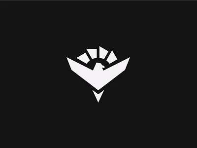 Sun Eagle Logo brand design flat graphic design logo logo design logodesign logos logotype logotype design minimalism