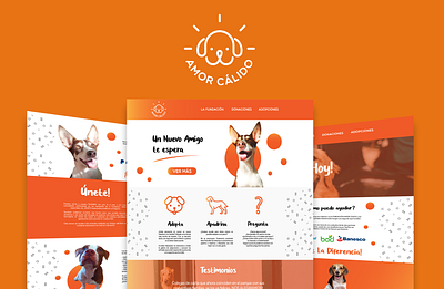 Amor Calido Website adobe illustrator adoption animals branding design dog doggy graphic design logo love non profit organization photography ui ux web web design