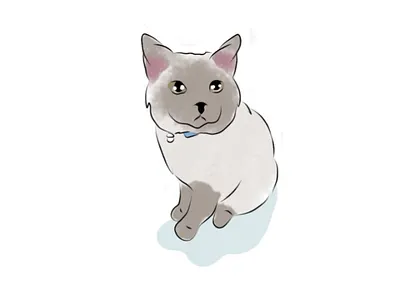 An angel arts cats