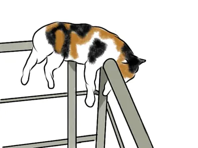 Take a nap arts cats