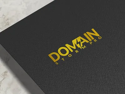 Domain Storm Pro Logo artist logo branding business logos design letter logo logo design minimalist logo monogram logo professional logo typography