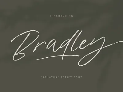 Bradley Signature Script Font french handwritten font ink