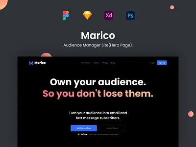 Marico - Audience Manager Site afterglow audience clean dashboard data lead management tool manager managment marketing minimal static statistic system targeted audience web ui webdesign