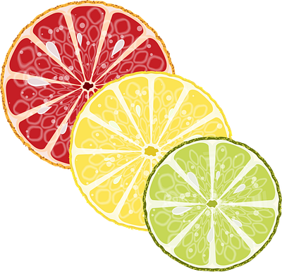 Citrus slices in the section citrus citrus circles design grapefruit illustration lemon lime slices vector