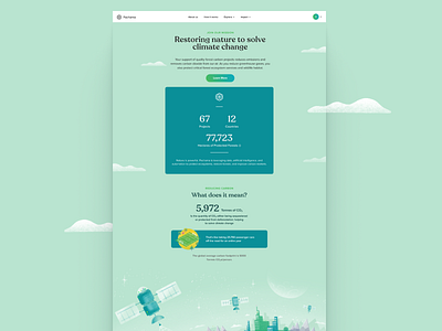 Pachama's Impact page! branding design flat icons illustration landing typography ui ux vector