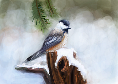 Winter Bird Study 3 art artwork bird bird illustration digital art digital illustration digitalart drawing drawingart illustration illustration art illustration digital nature nature art nature illustration painting snow study wildlife winter illustration