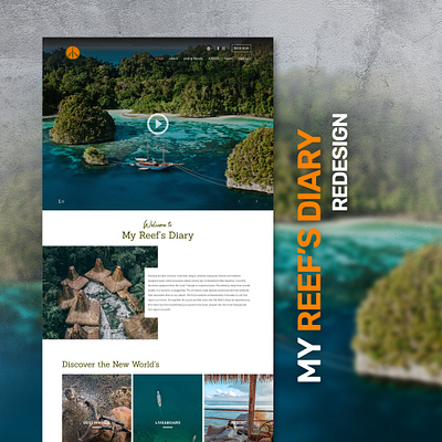 MY REEFS design ui ux web