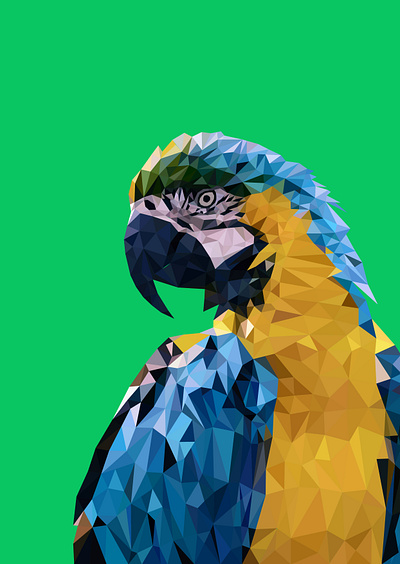 Macaw Low Poly Art artwork bookcover business card digital digital illustration ebook cover fiverr fiverr.com flyer freelance freelancer graphic design graphic designer graphics illustrator low poly lowpoly lowpolyart macaw vector