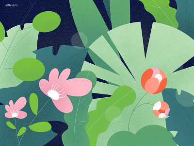 Plants flowers illustration plants