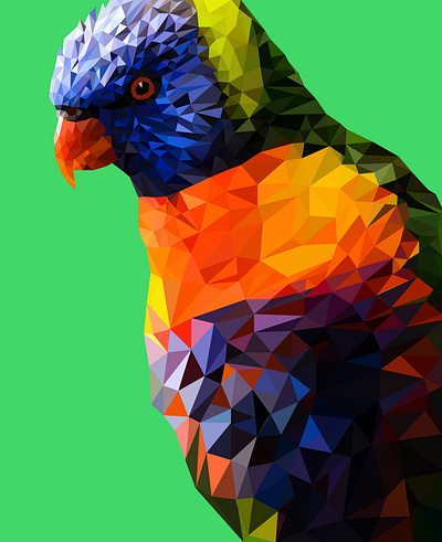 Low Poly Parrot Illustration desgn digital art digitalart ebook fiverr fiverr design fiverrgigs freelance design freelancer graphic designer illustration logo low poly lowpoly lowpolyart portrait portrait art portrait illustration poster art vector