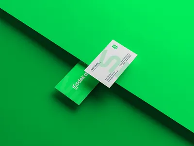 Sadek Ali Content Writer Branding And Logo Design brand identity sadek ali sadek ali logo sadek brading word mark logo