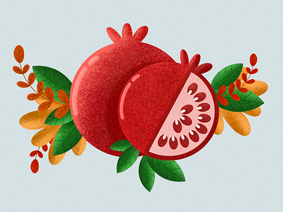 Pomegranate flat fruit illustration illustrator pomegranate procreate red texture vector